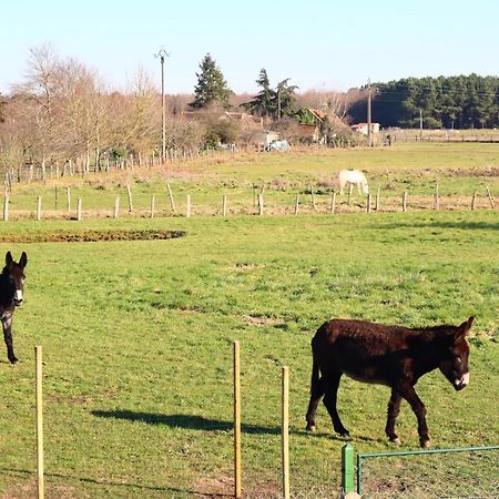 Bed and Breakfast Chambre En Campagne A 15 Min Circuit ! Change  Экстерьер фото